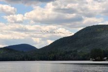 lakegeese.jpg